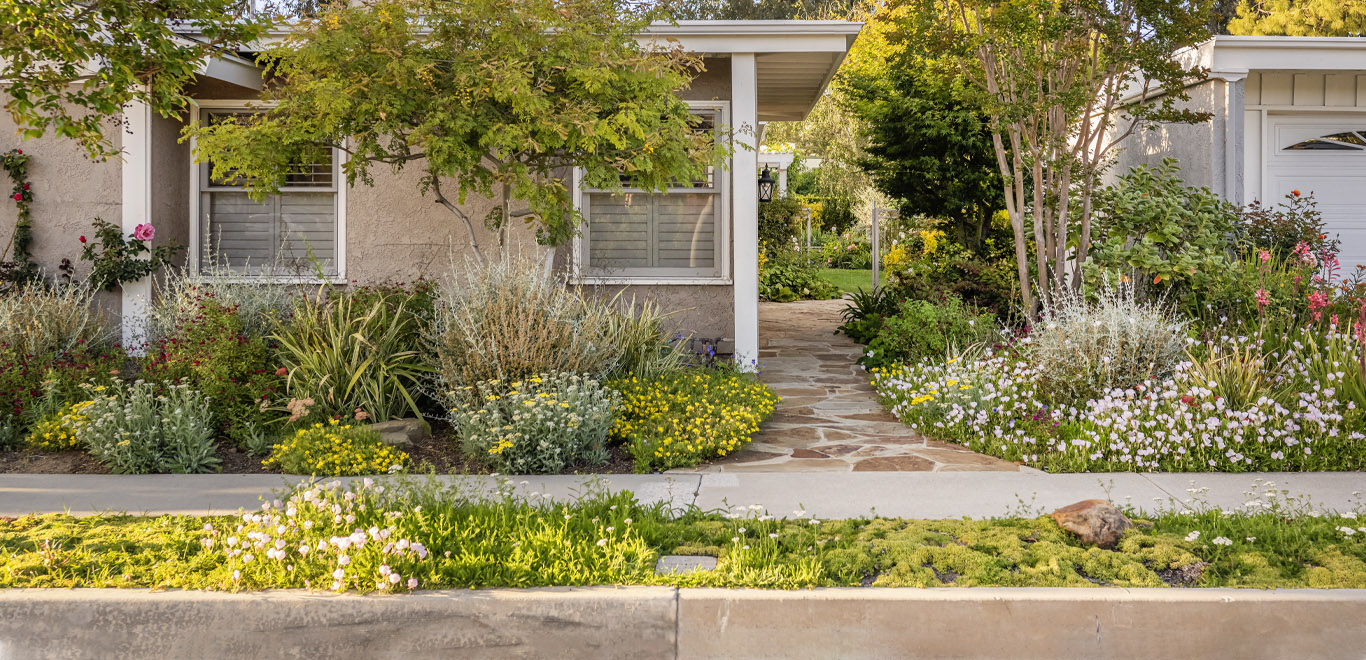 Water-Efficient Curb Appeal
