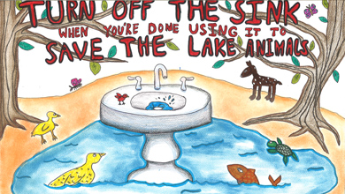 Five Finalists Selected in Water Awarness Poster Contest