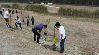 Orangewood Academy planting