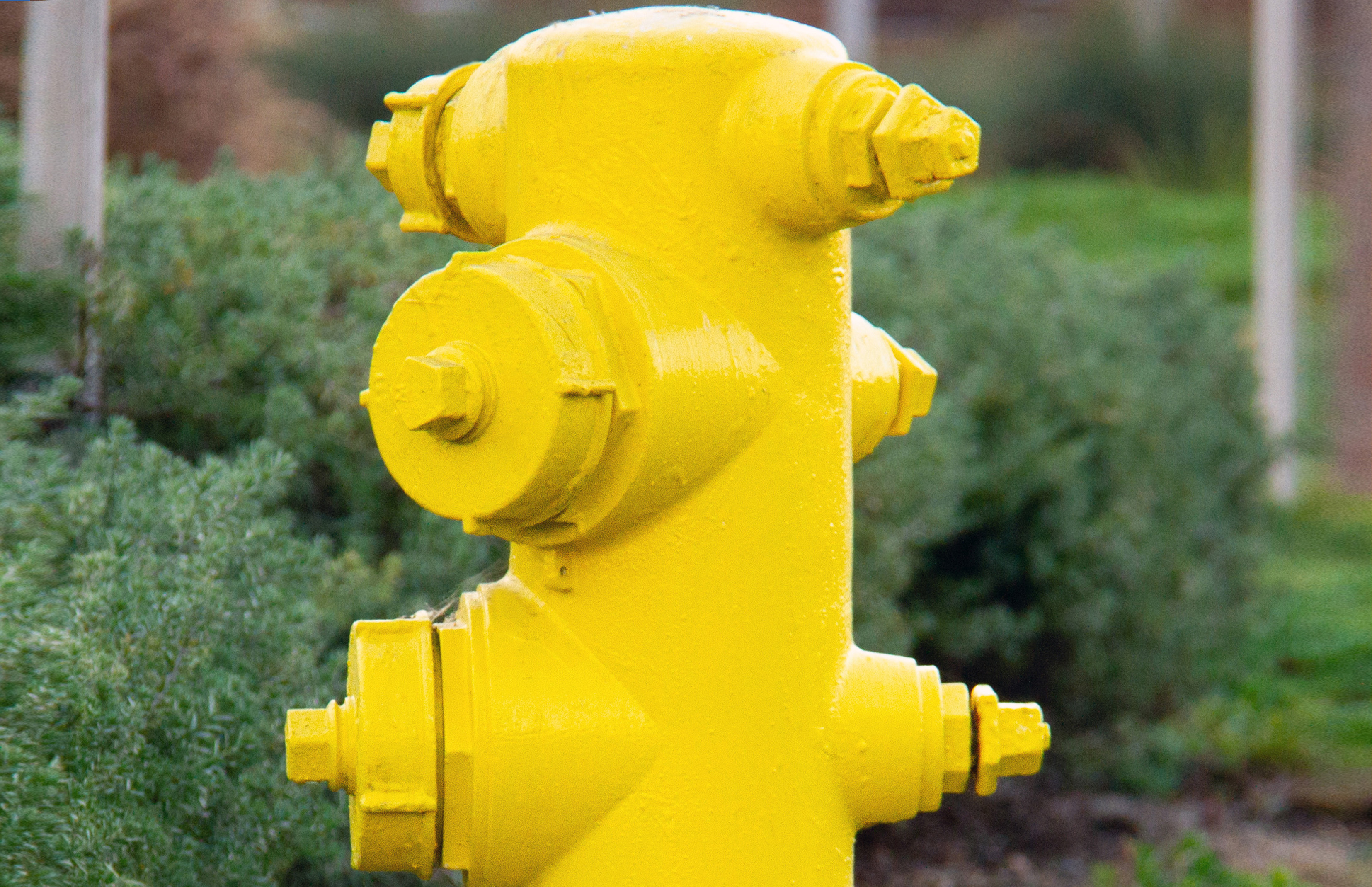 Fire hydrants are an important part of your water service