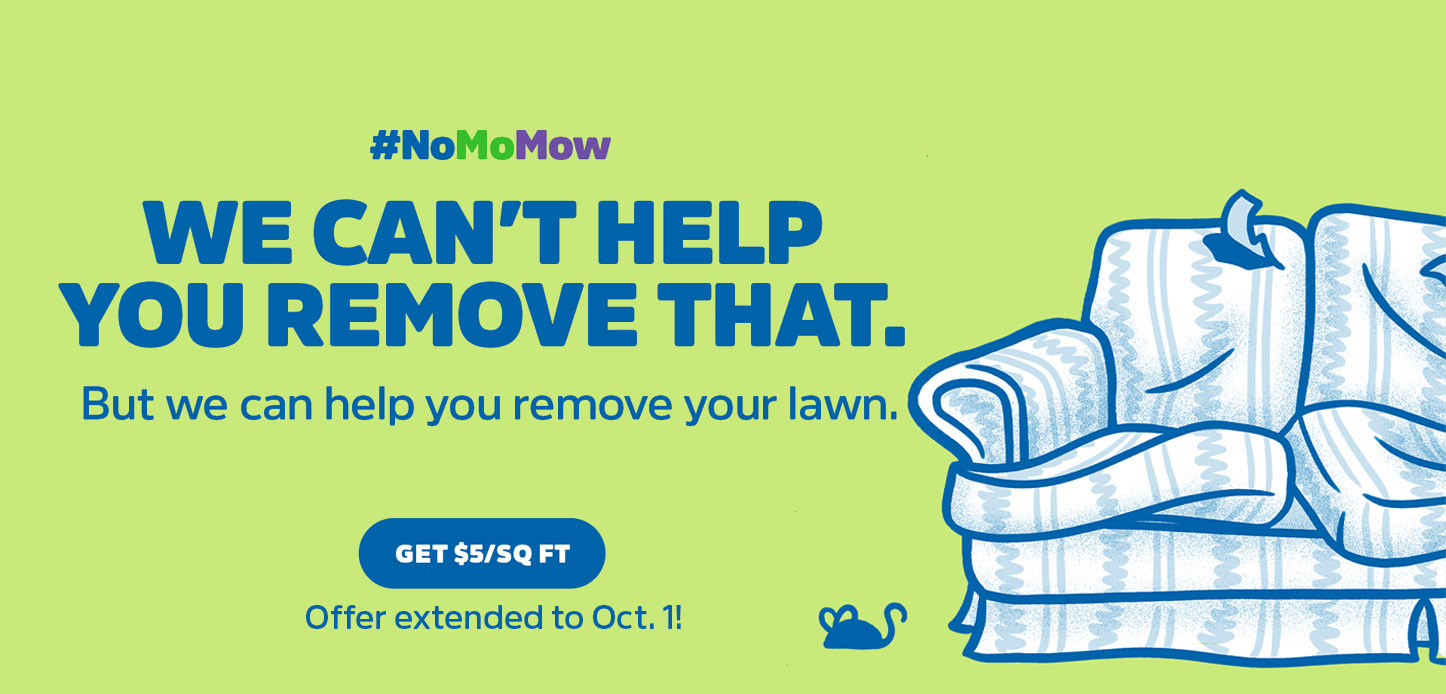 #NoMoMow