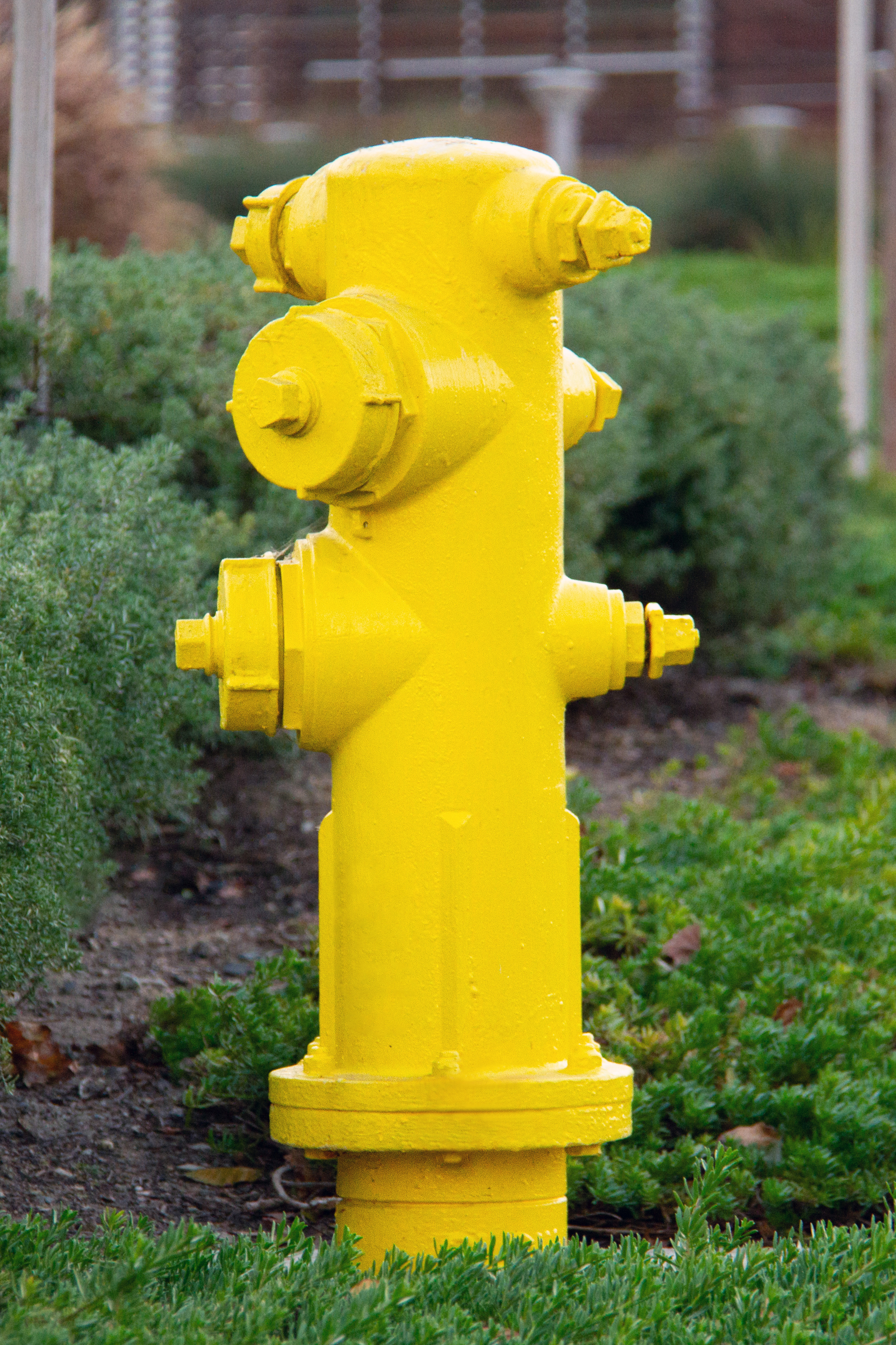 fire hydrants